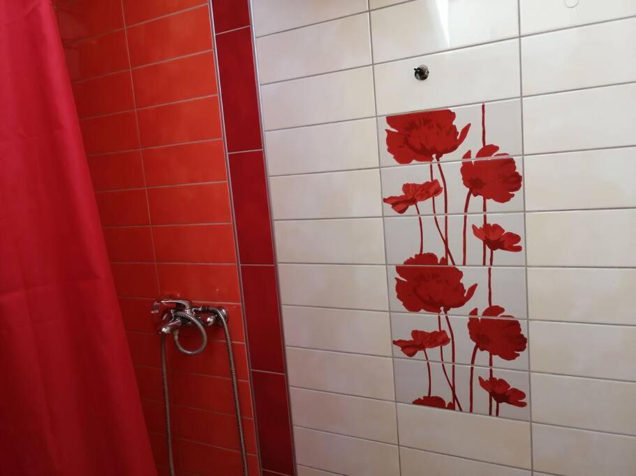Apartman Natasa 3 วรชาซ ภายนอก รูปภาพ